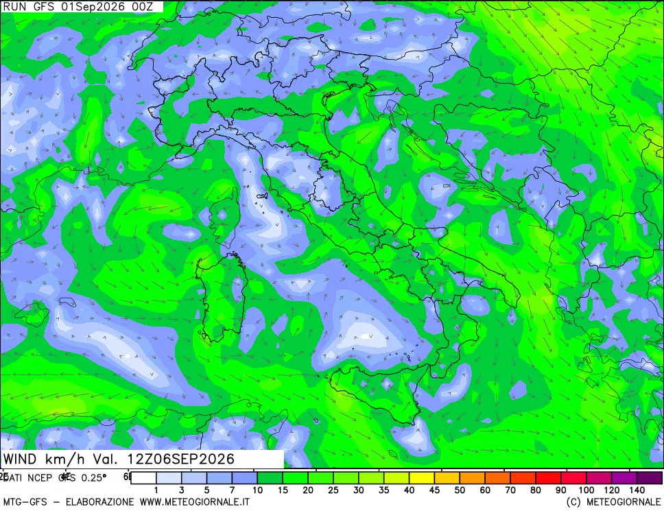 mappa 10 m Vento forza e direzione
