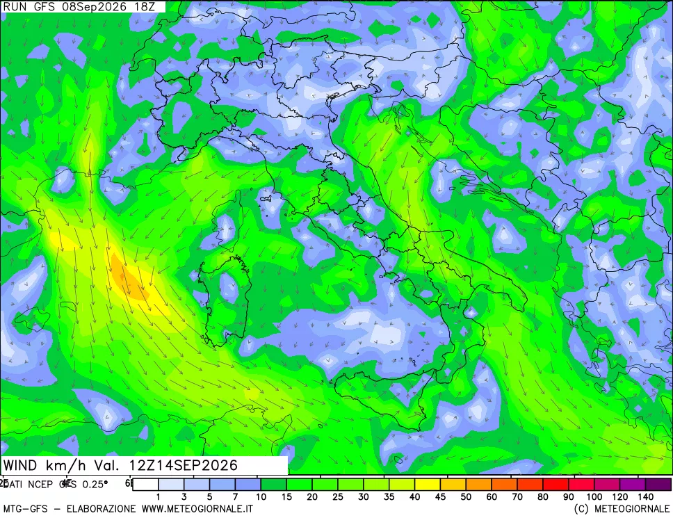 mappa 10 m Vento forza e direzione