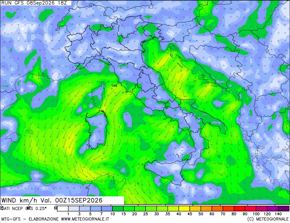 mappa 10 m Vento forza e direzione