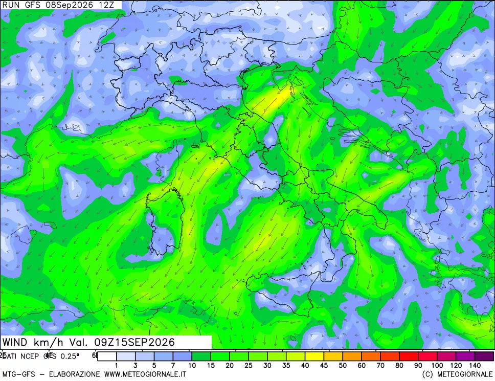 mappa 10 m Vento forza e direzione