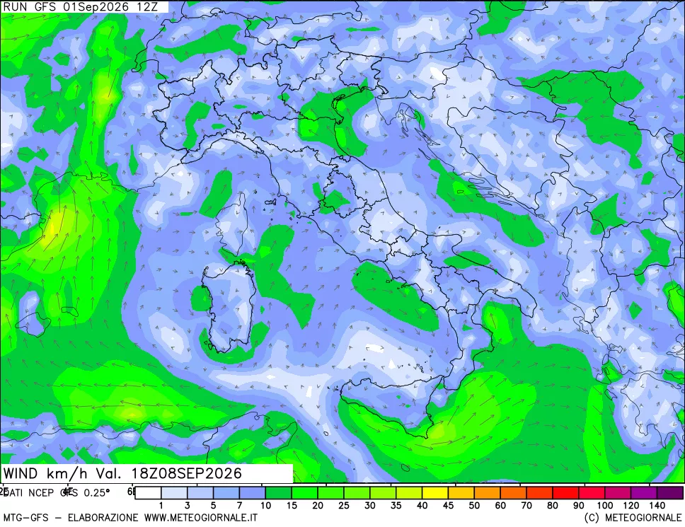 mappa 10 m Vento forza e direzione