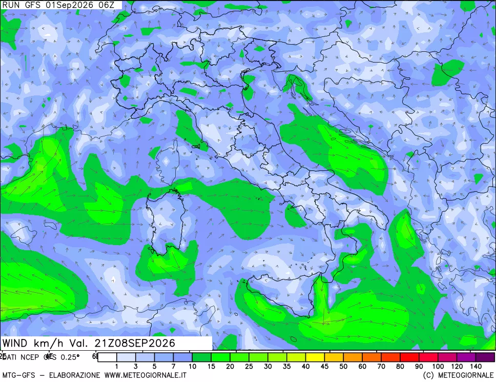 mappa 10 m Vento forza e direzione