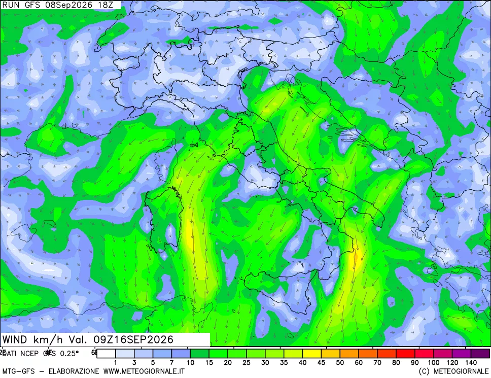 mappa 10 m Vento forza e direzione