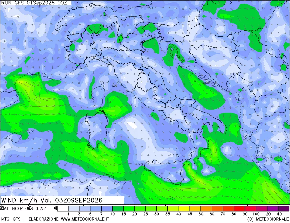mappa 10 m Vento forza e direzione