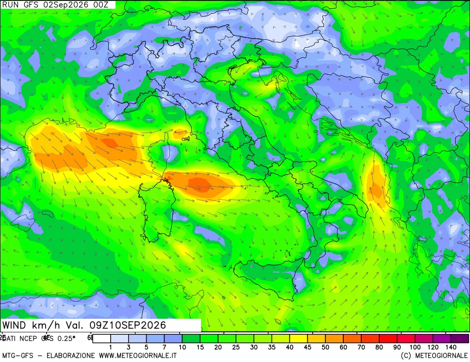mappa 10 m Vento forza e direzione