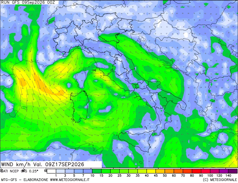 mappa 10 m Vento forza e direzione