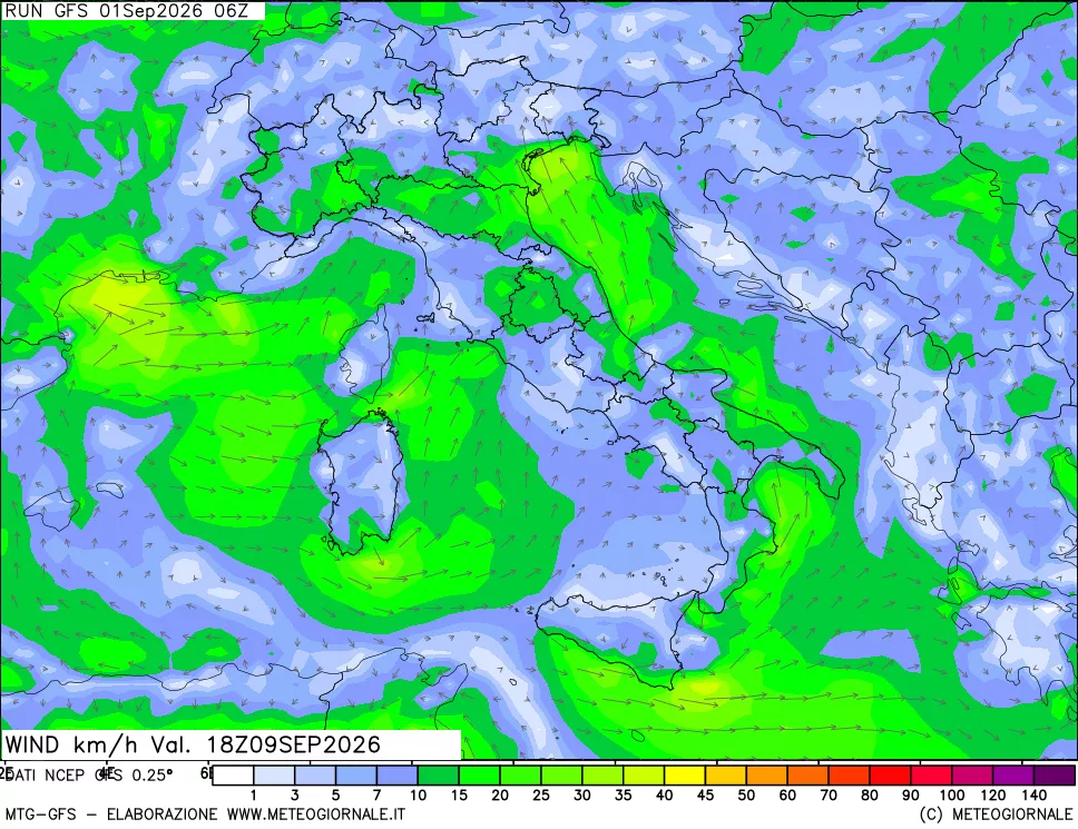 mappa 10 m Vento forza e direzione