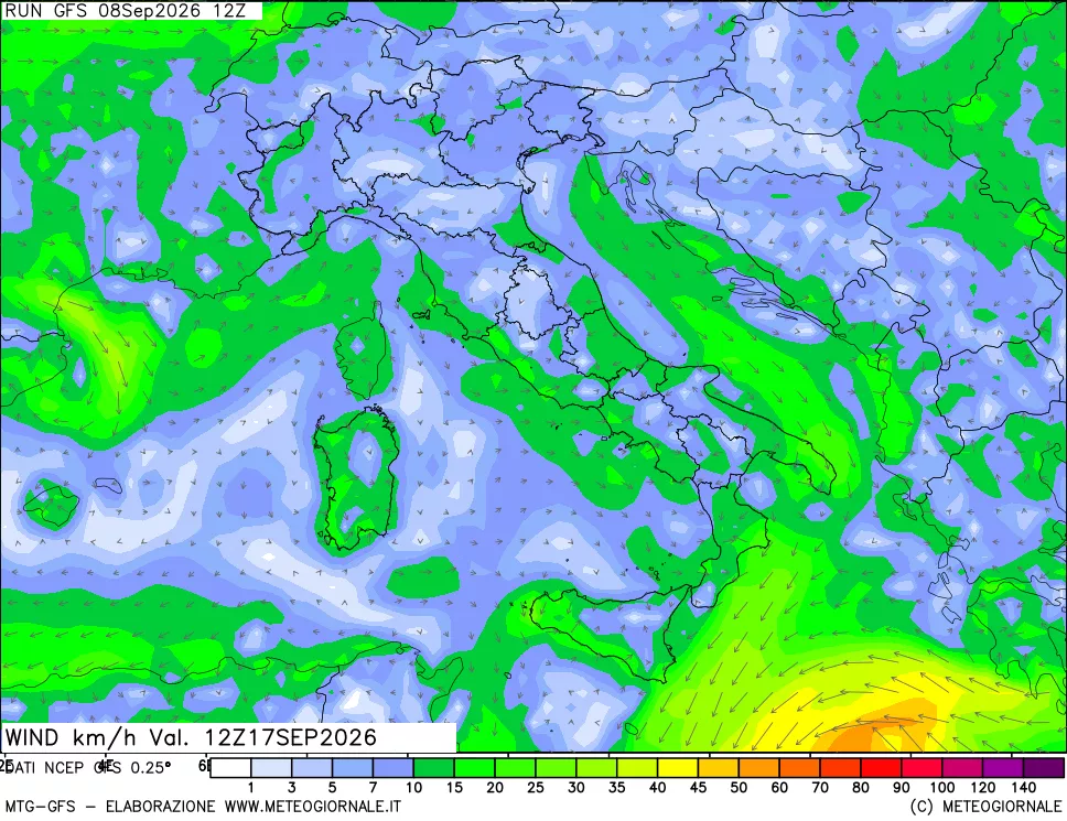 mappa 10 m Vento forza e direzione
