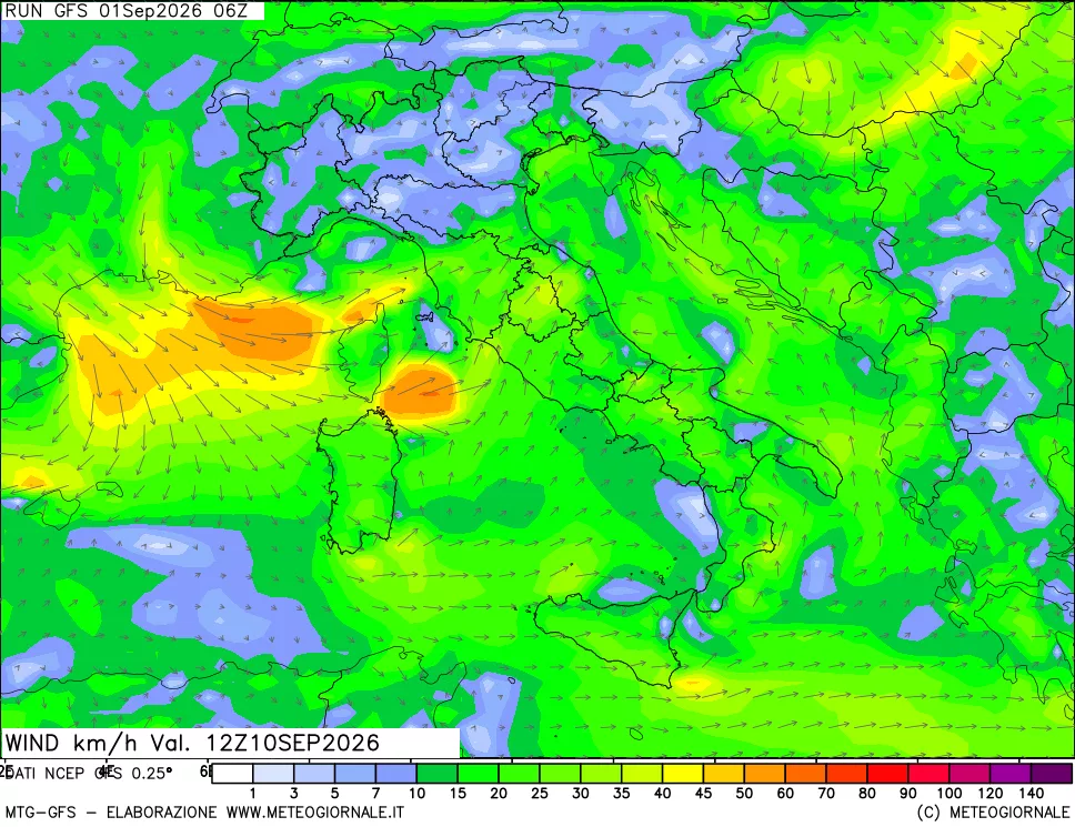 mappa 10 m Vento forza e direzione