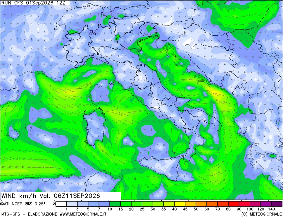 mappa 10 m Vento forza e direzione