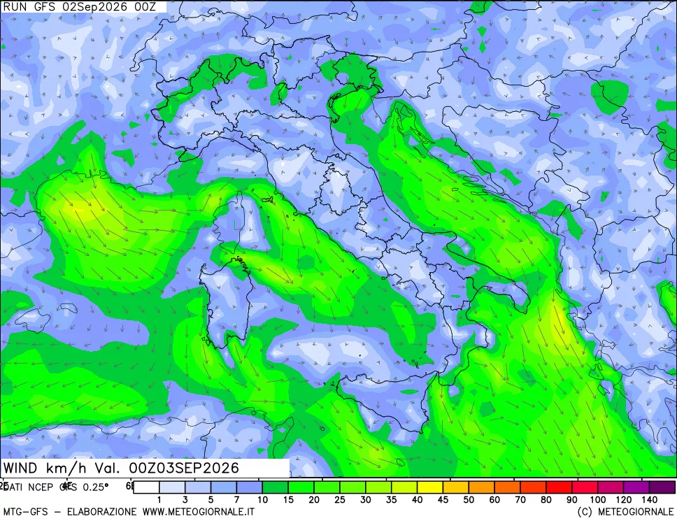 mappa 10 m Vento forza e direzione