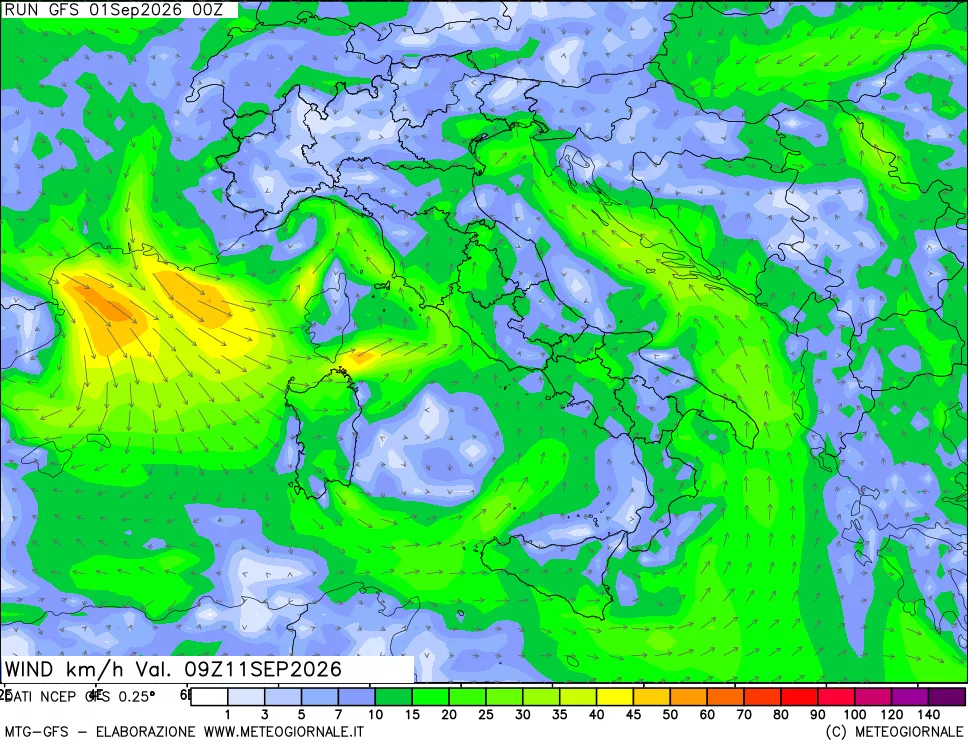 mappa 10 m Vento forza e direzione