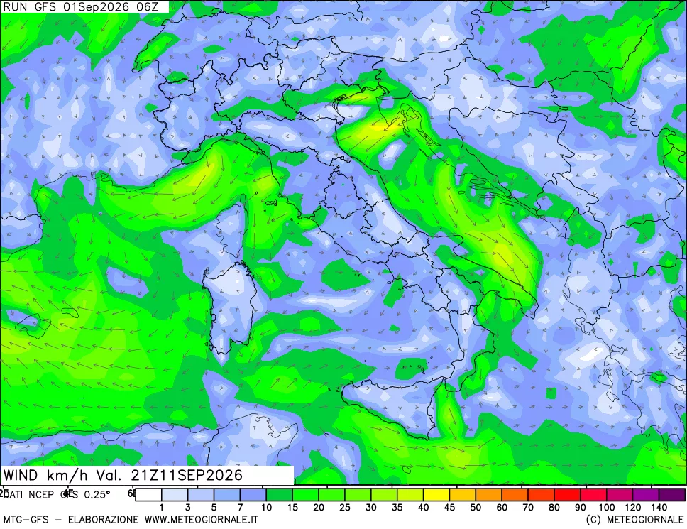 mappa 10 m Vento forza e direzione