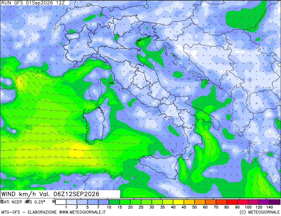 mappa 10 m Vento forza e direzione