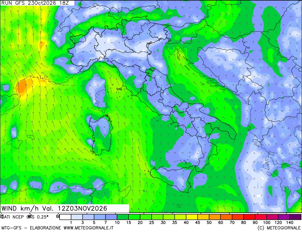 mappa 10 m Vento forza e direzione