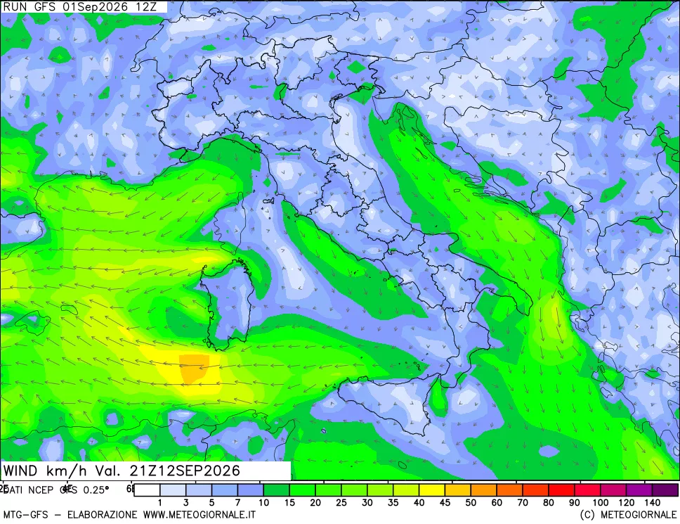 mappa 10 m Vento forza e direzione