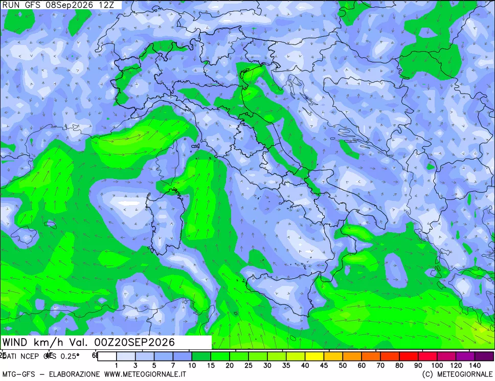 mappa 10 m Vento forza e direzione