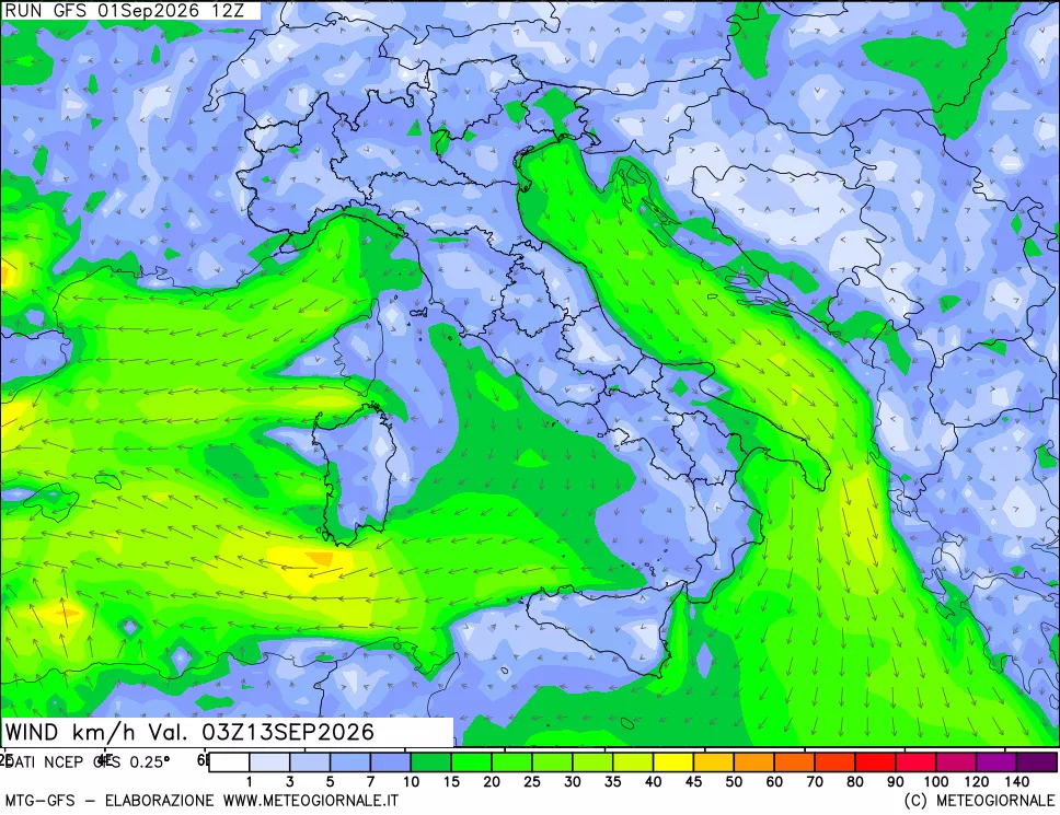 mappa 10 m Vento forza e direzione