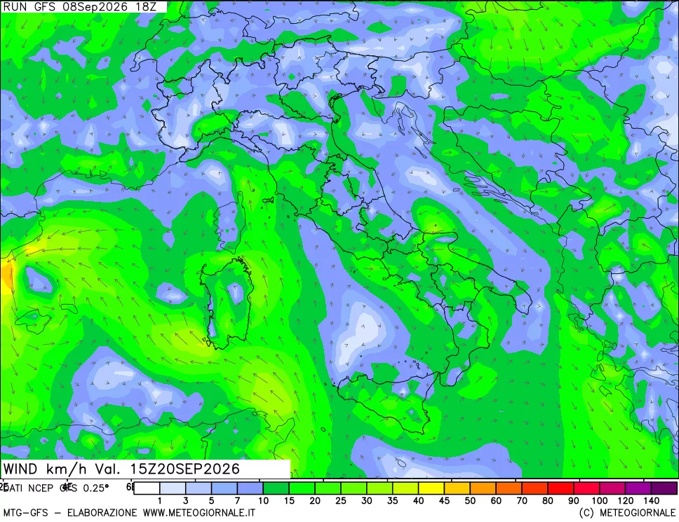 mappa 10 m Vento forza e direzione