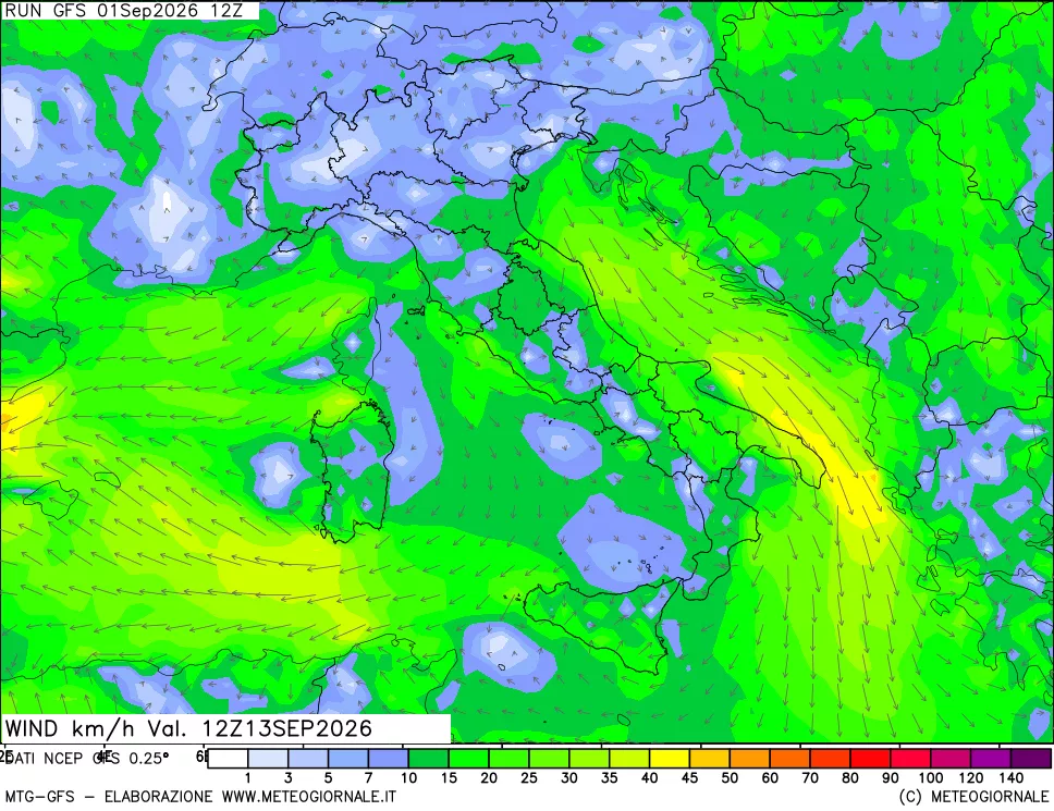 mappa 10 m Vento forza e direzione