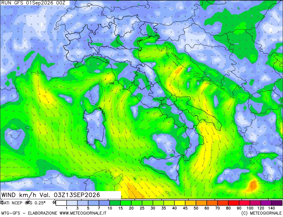 mappa 10 m Vento forza e direzione