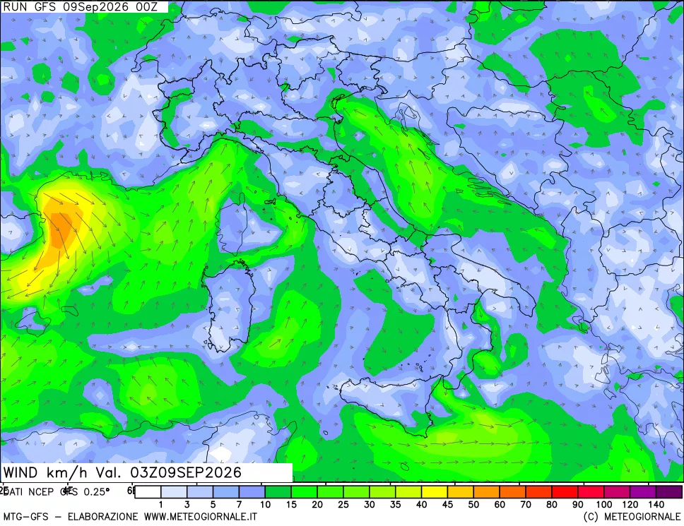 mappa 10 m Vento forza e direzione