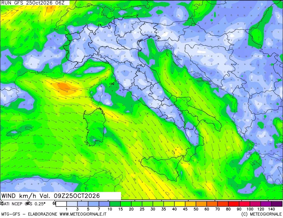 mappa 10 m Vento forza e direzione