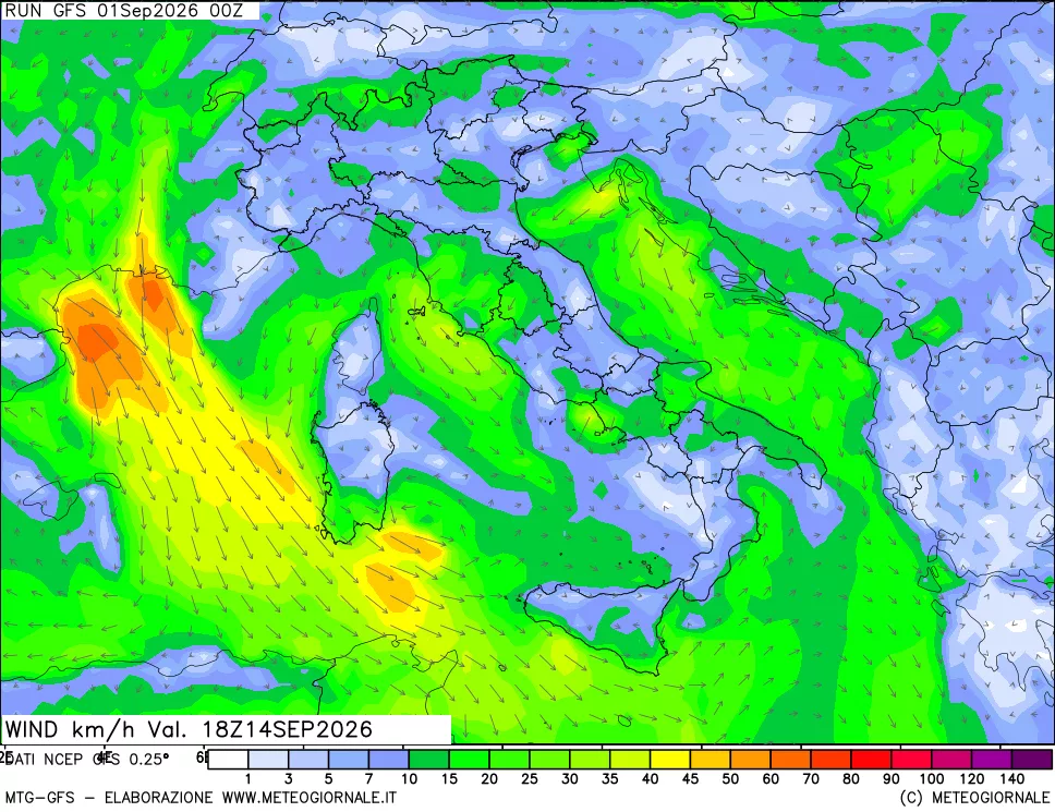 mappa 10 m Vento forza e direzione
