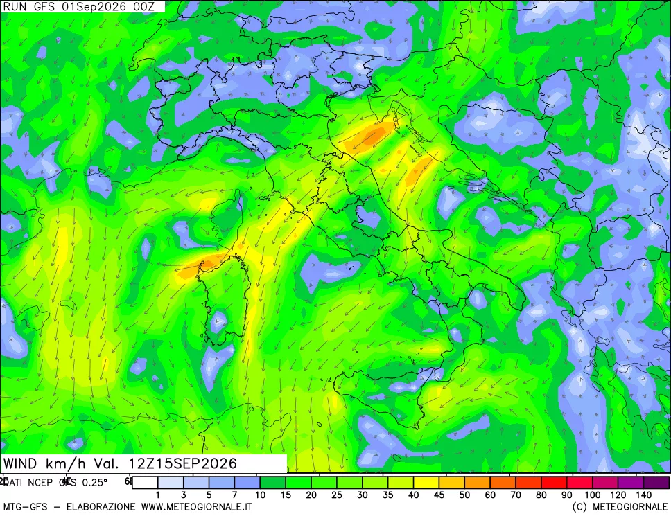 mappa 10 m Vento forza e direzione