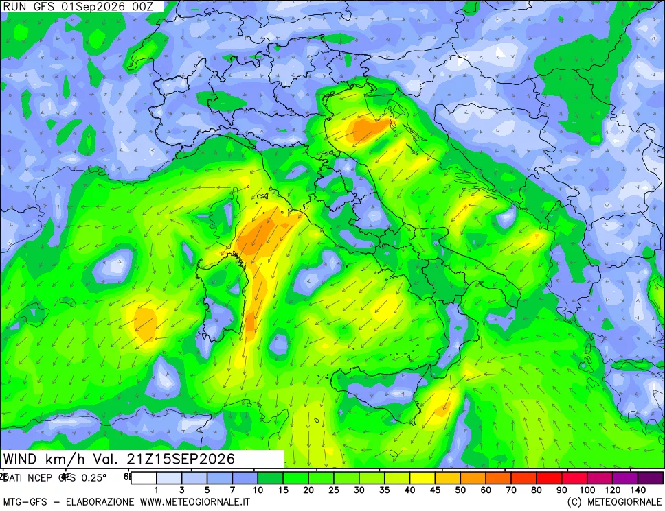 mappa 10 m Vento forza e direzione