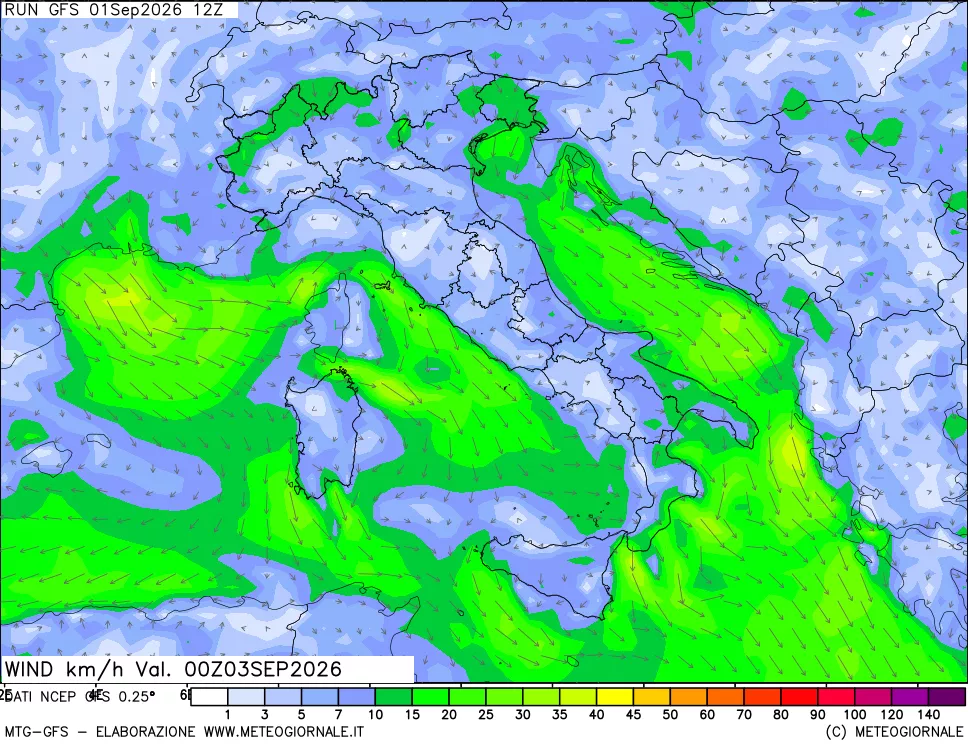 mappa 10 m Vento forza e direzione