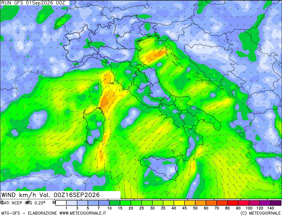 mappa 10 m Vento forza e direzione