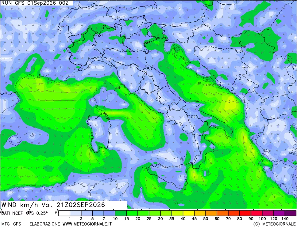 mappa 10 m Vento forza e direzione