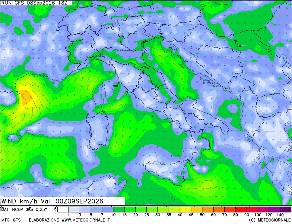 mappa 10 m Vento forza e direzione
