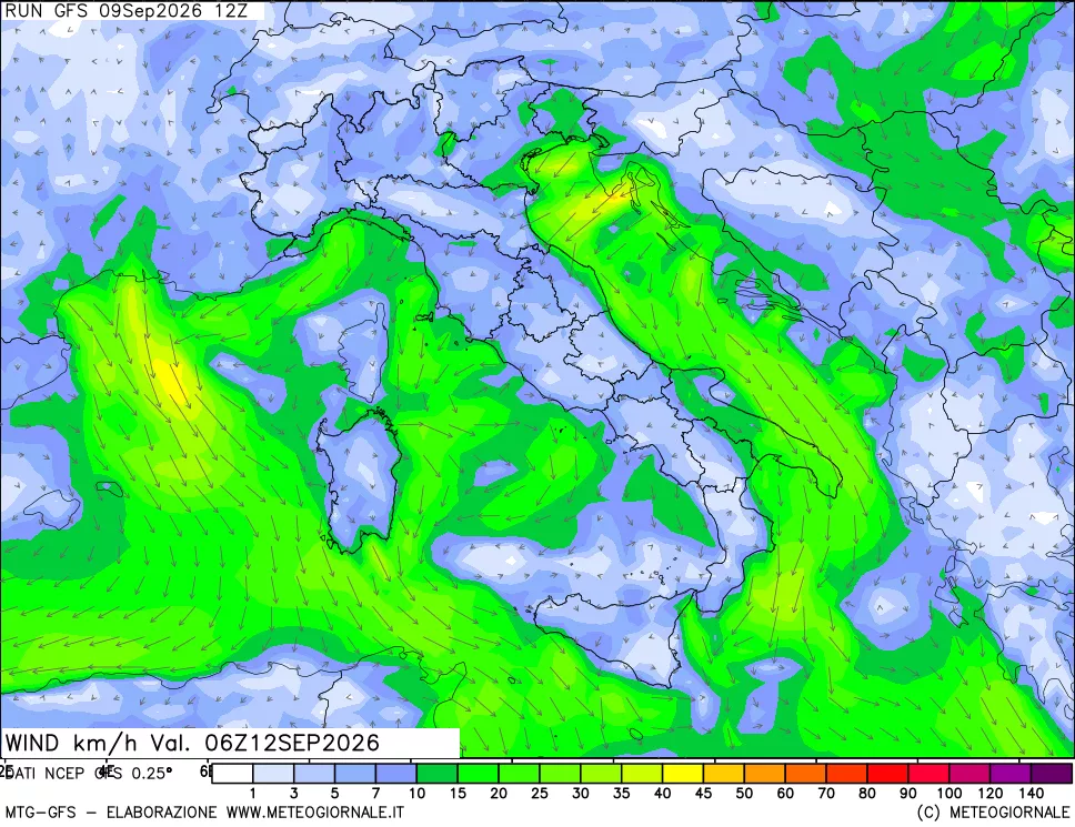 mappa 10 m Vento forza e direzione