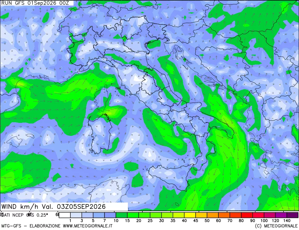 mappa 10 m Vento forza e direzione