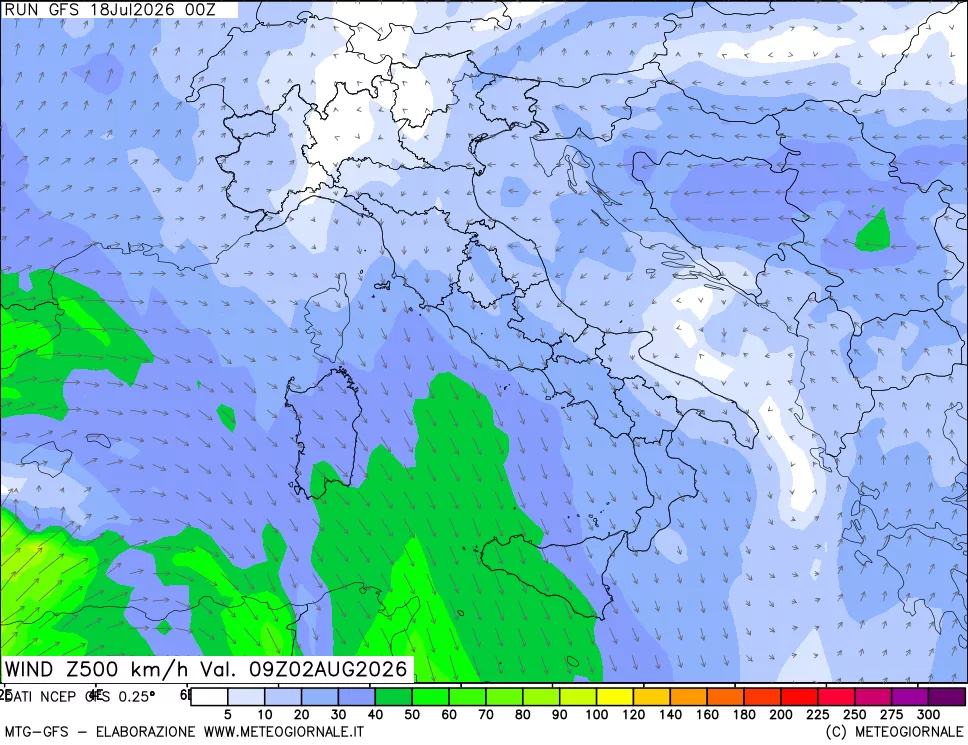 mappa 500 hPa Vento forza e direzione