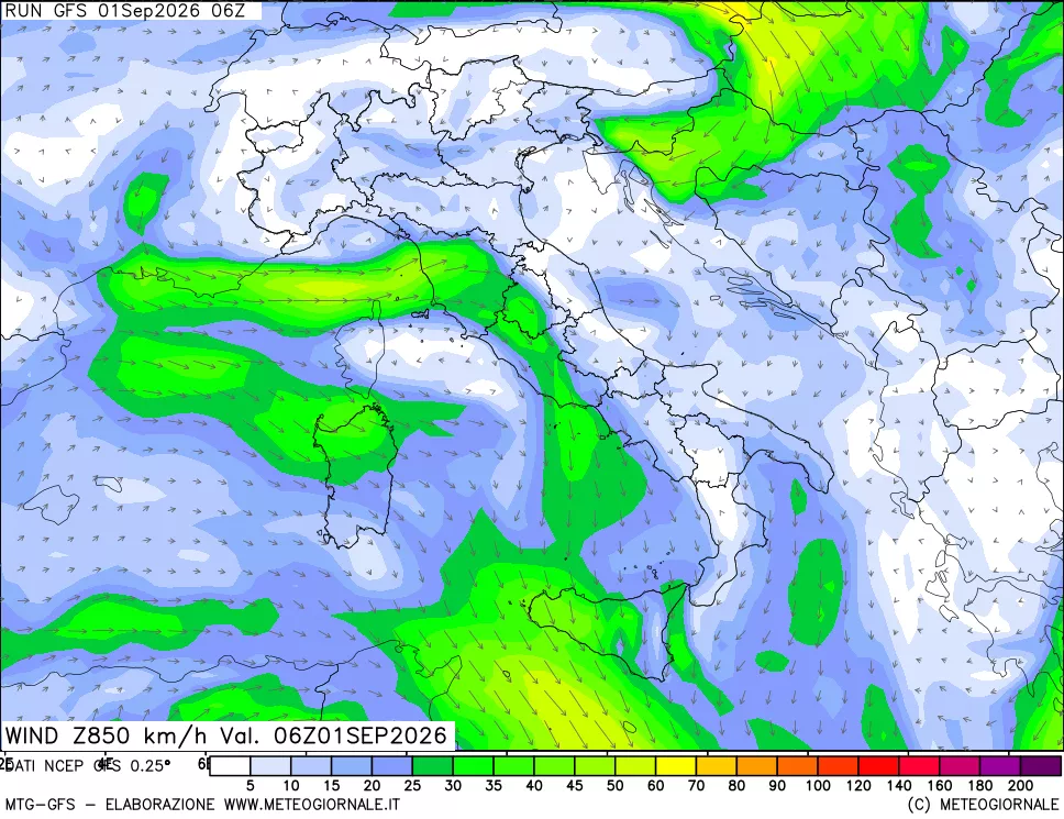 mappa 850 hPa Vento forza e direzione