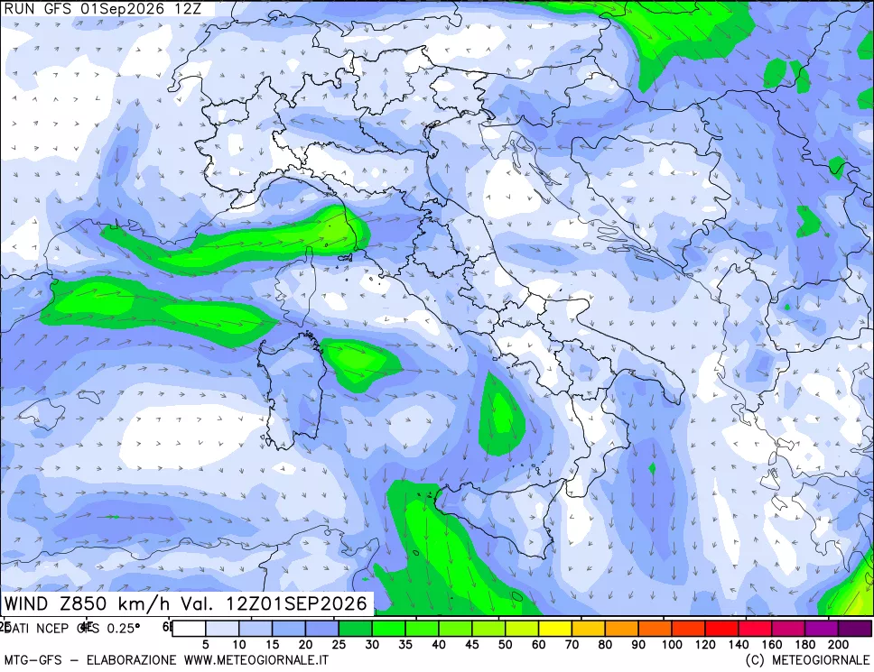 mappa 850 hPa Vento forza e direzione