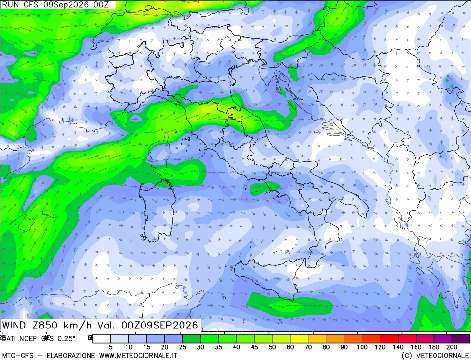 mappa 850 hPa Vento forza e direzione