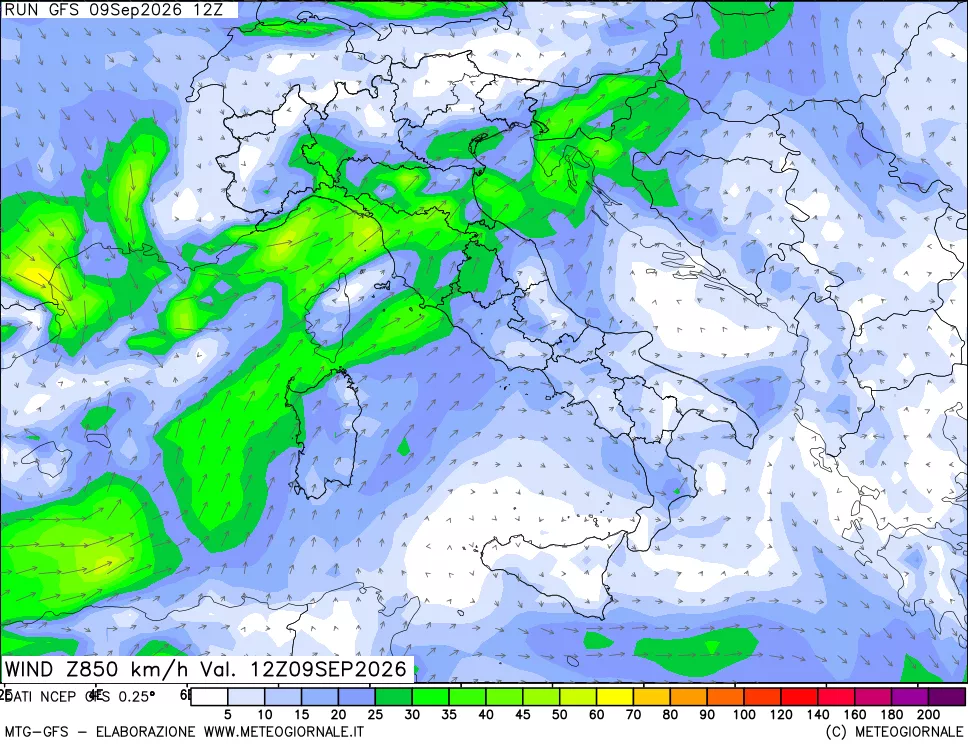 mappa 850 hPa Vento forza e direzione
