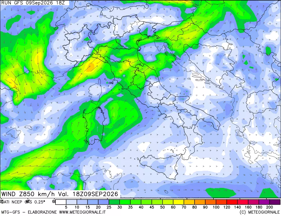mappa 850 hPa Vento forza e direzione