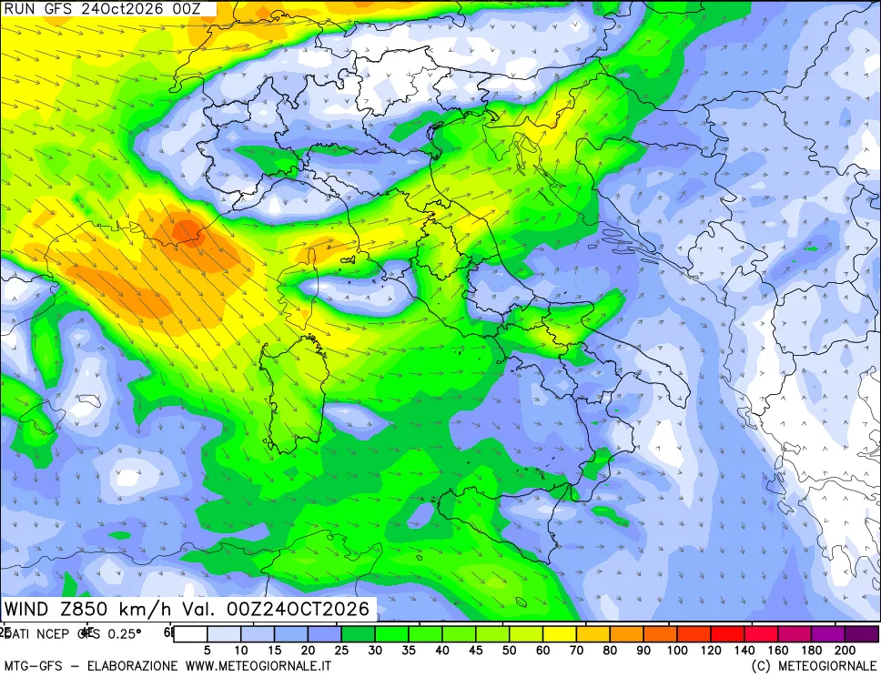 mappa 850 hPa Vento forza e direzione