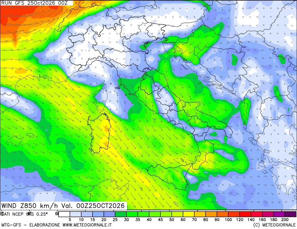 mappa 850 hPa Vento forza e direzione