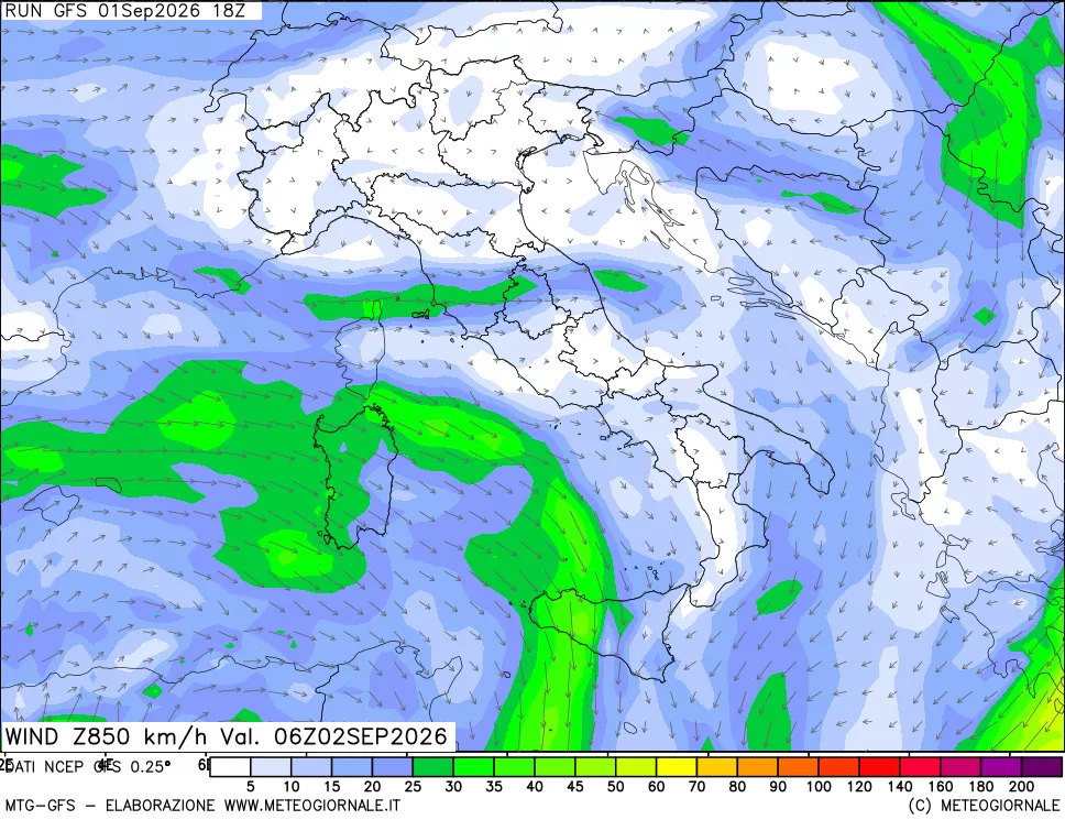 mappa 850 hPa Vento forza e direzione