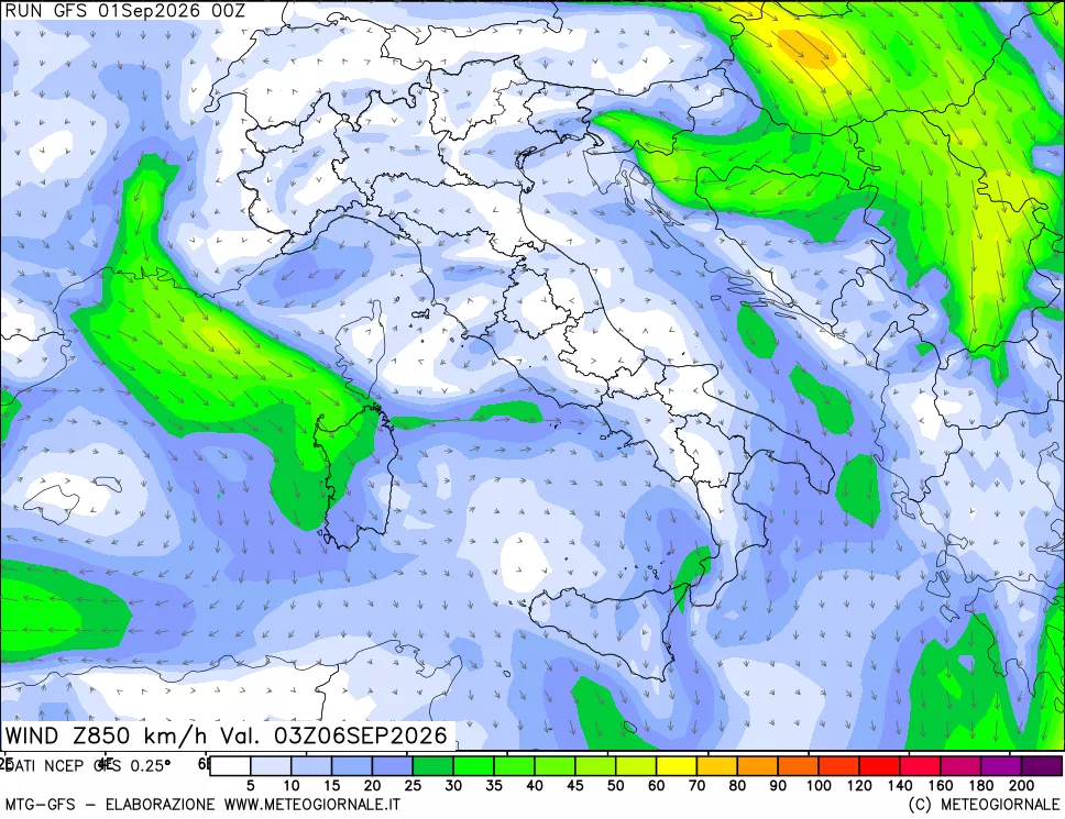 mappa 850 hPa Vento forza e direzione