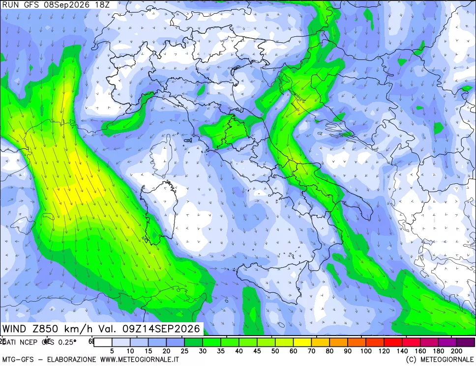 mappa 850 hPa Vento forza e direzione