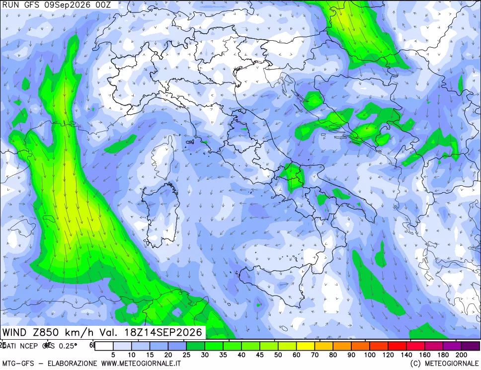 mappa 850 hPa Vento forza e direzione
