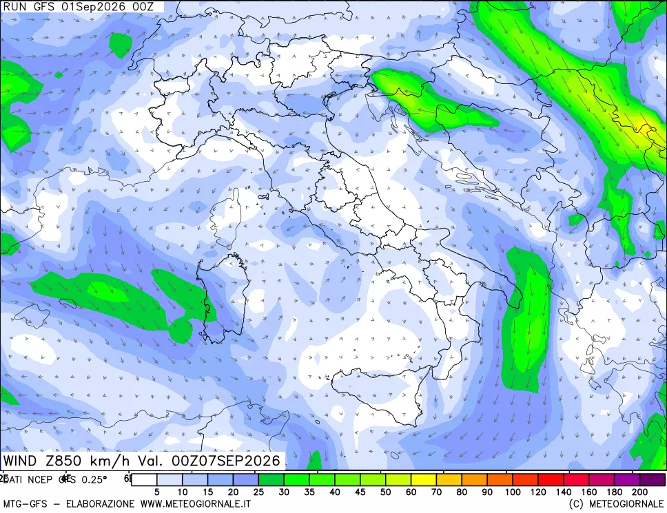 mappa 850 hPa Vento forza e direzione