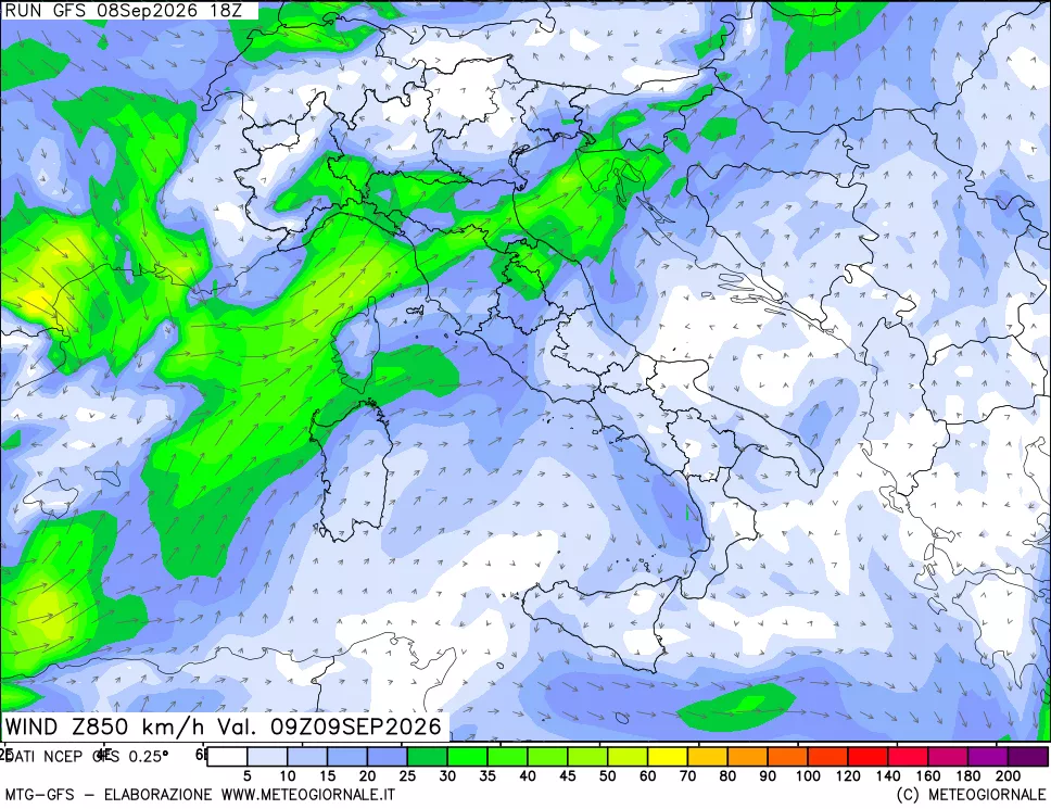 mappa 850 hPa Vento forza e direzione